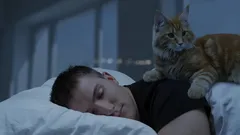 Wiesz, co robi twój kot w nocy, gdy wszyscy śpią?