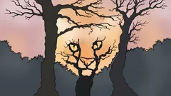 Co widzisz na tym rysunku? Psychotest, który odkrywa Twój sposób patrzenia na świat