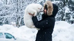 Czy zwierzęta mogą rozumieć ludzki język?