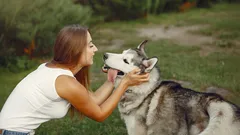 Jak rozmawiać z psem, żeby naprawdę cię rozumiał
