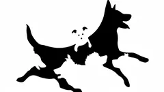 Liczba psów, które zobaczysz na obrazku, zdradzi twój wiek psychologiczny